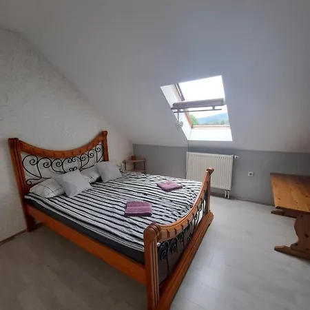 Noclegi Srebrna Gora Guest house *