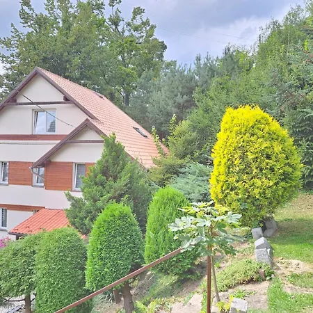 Noclegi Srebrna Gora Guest house *
