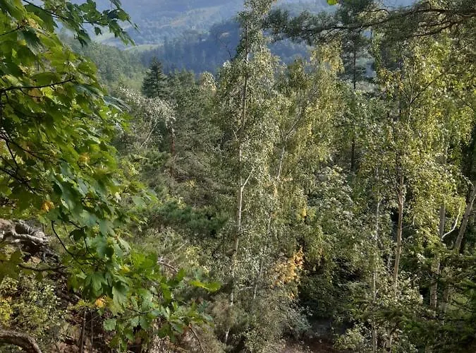 Noclegi Srebrna Góra Srebrna Góra