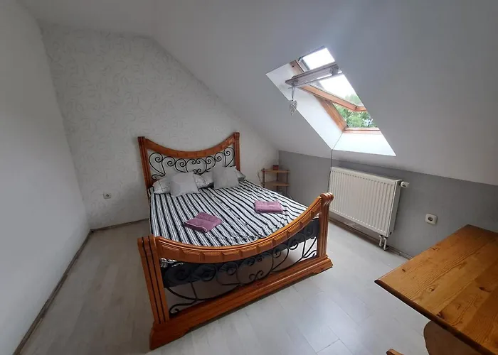 Casa de hóspedes Noclegi Srebrna Góra *