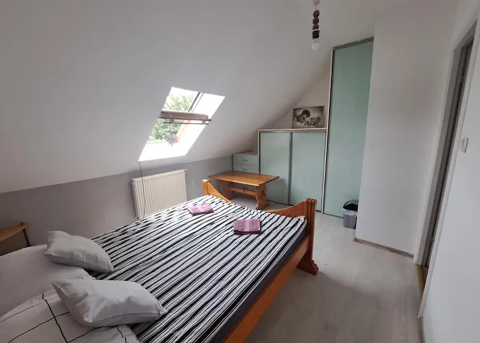 Casa de hóspedes Noclegi Srebrna Góra *