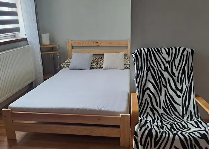 Casa de hóspedes Noclegi Srebrna Góra